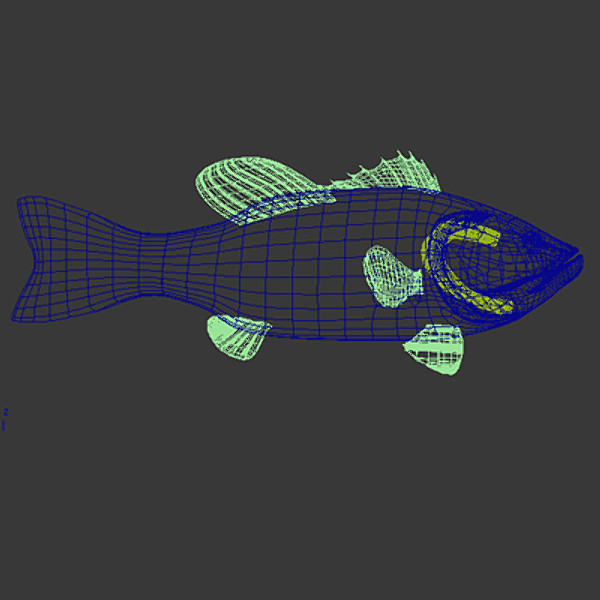 max largemouth fish - Freshwater fish collection by gauthier12